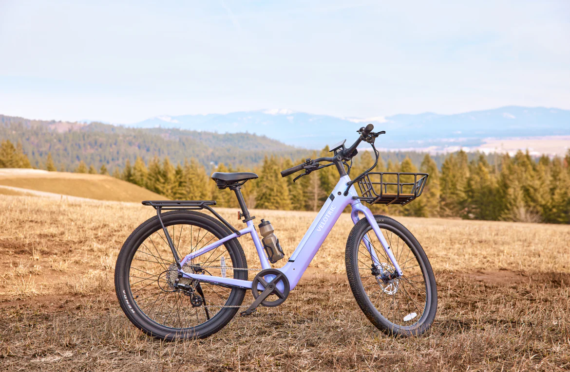 Electric bike with a basket on a field with trees and mountains 